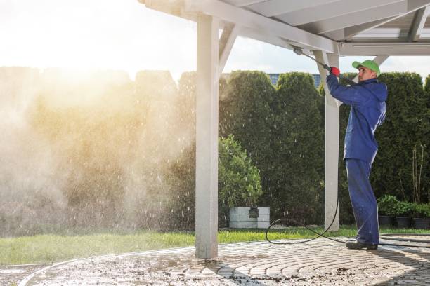Best Boat and Dock Cleaning  in Avon, MN